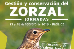Badajoz acogerá en febrero la jornada ‘Gestión y conservación del zorzal’ y el Encuentro de Zorzaleros Españoles