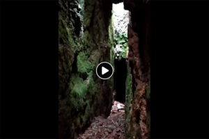 Un becadero cae en un agujero de 8 metros junto con su perro en Asturias