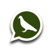 icono-whatsapp-pase